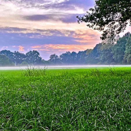Nice field and blue skyの写真素材