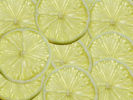 A slices of Lemon illuminated from behindの写真素材