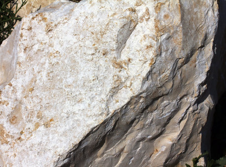 Surface of the multi-colored limestone  texture close up  Selective focus 