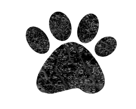 Paw print on white backgroundの写真素材