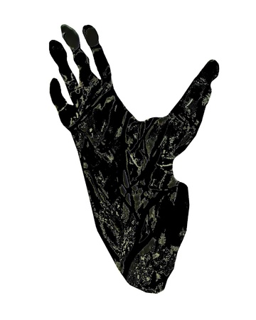 Gorilla paw print with prints of gorilla footの写真素材