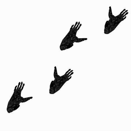 Gorilla paw print with prints of gorilla foots の写真素材