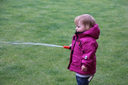 Little girl watering grass lawn in the yard with a hoseの写真素材