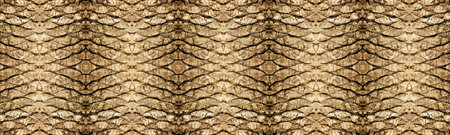 Palm tree bark texture 