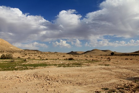 Negev desert at the spring on blue sky background, Israelの写真素材