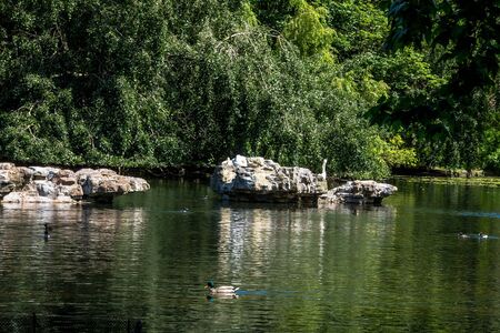 St. James's Park Lake with Duck Peninsula in London, UKのeditorial素材