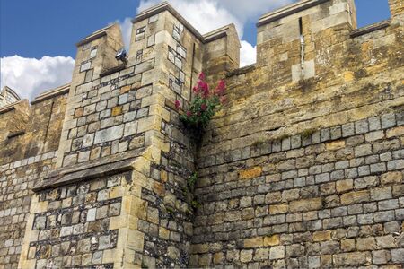 Medieval Windsor Castle. Windsor Castle is a royal residence at Windsor in the English county of Berkshire. It was built in 1066 by William the Conqueror and it is the longest-occupied palace in Europe. UKのeditorial素材