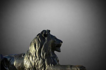Sculpture of   Barbary  lion at Trafalgar Square in London on gray background with black vignetteの写真素材