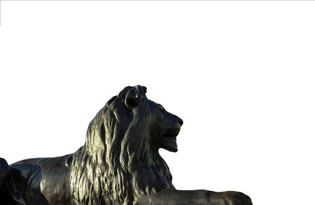 Sculpture of   Barbary  lion at Trafalgar Square in London on white backgroundの写真素材
