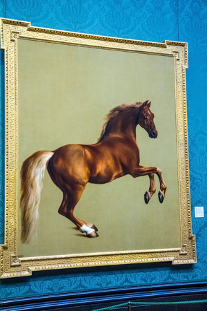 LONDON, UK - JUNE 7, 2015: Whistlejacket (1762)  by Geoorge (1724-1806) at the National Gallery of London.  at the National Gallery of London.のeditorial素材