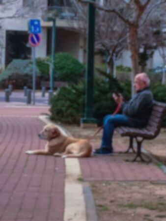 Blured view of old man with dog and smartphone on the bench at small parkの写真素材