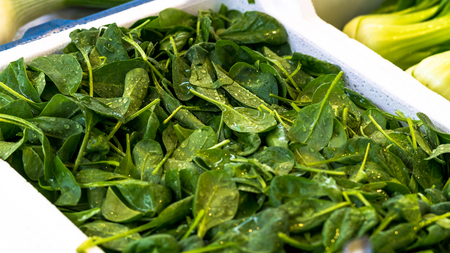 Spinach. Spinach leaves on a market outside. Organic spinach. Spinach backgroundの写真素材