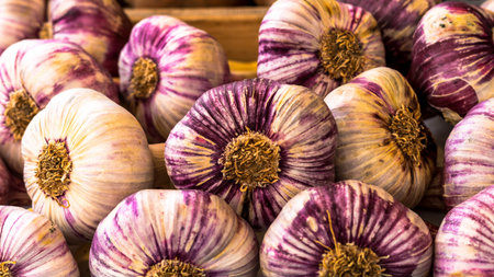 Basket with garlic on organic food market. Salzburg. Austria