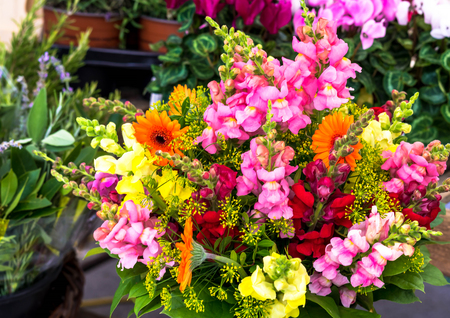 Bouquet of different flowers at shop on open air at small city market. Salzburg, Austriaの写真素材