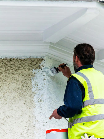 LONDON, UK - JUNE 9, 2015: Rear view of painter man with yellow reflective waistcoat painting the wall with white paintのeditorial素材