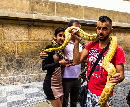 Prague, Czech Republic -July 23,2017: Young woman making photo with a huge yellow boa snake...