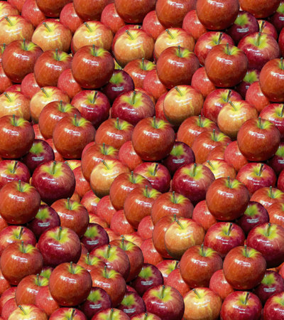 scattered on the table fresh red apples