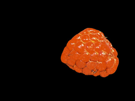 One raspberry on black background