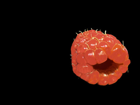 One raspberry on black background