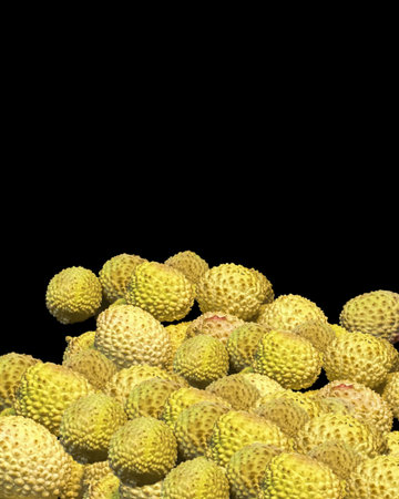 Lychee- small rounded fruit with sweet white scented flesh, a large central stone, and a thin rough...