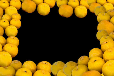 Ripe fresh juicy large yellow plums frame on a black backgroundの写真素材
