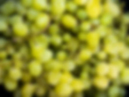 Blurred summer background with green grapesの写真素材