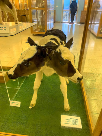 Ein Harod, Israel - March 18, 2019: Beit Shturman Museum and Institute of Regional Knowledge....
