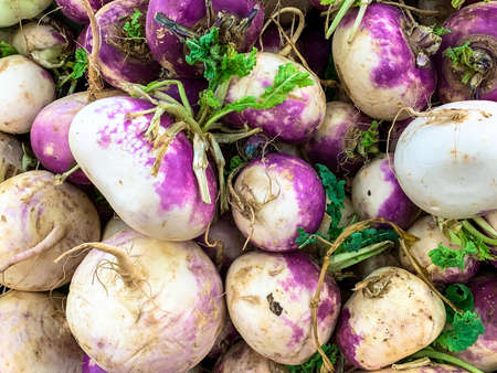 White radish on a rack in a modern supermarket.の写真素材