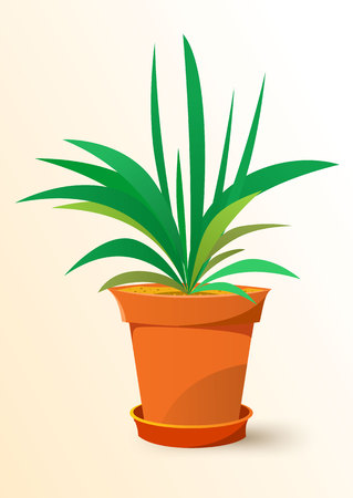 vector illustration of green Chlorophytum plant in a potのイラスト素材