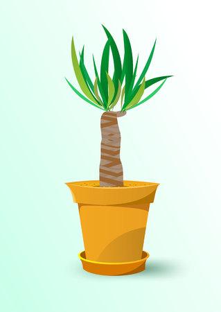 vector illustration of yucca plant in a pot isolated on blue backgroundのイラスト素材