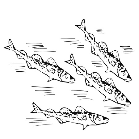 vector illustration - hand drawn school of northen fishのイラスト素材
