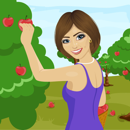 young woman picking red apples from tree in the orchardのイラスト素材