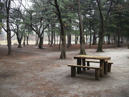 Wooden Table in the Park of Koreaの写真素材