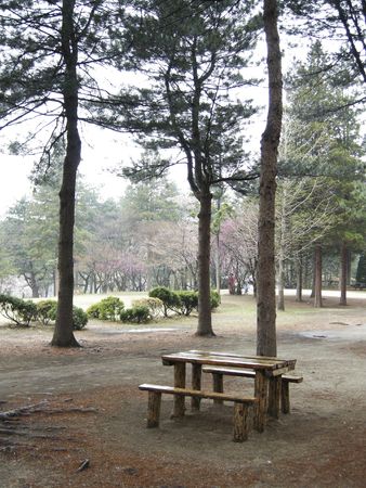 Wooden Table in the Park of Koreaの写真素材