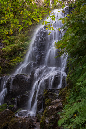 Waterfall in the forest.