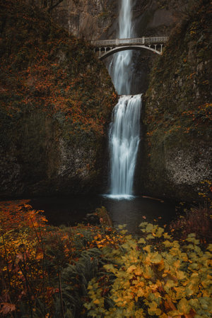 A vertical shot of a waterfall in the middle of an autumn forest