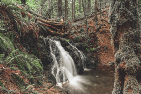 A vertical shot of a waterfall in the forest with trees in the background