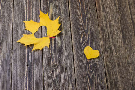 Autumn - a time of love. Wooden background.の写真素材