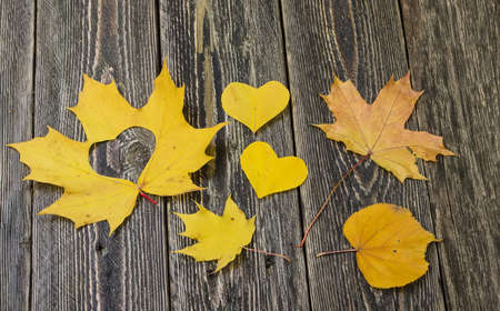 Hearts, autumn leaves and wooden background. Abstract.の写真素材