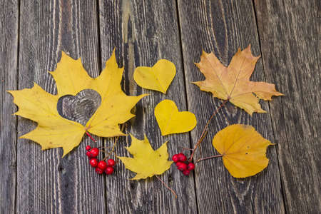 Hearts, autumn leaves and rowan berries on a wooden backgroundの写真素材