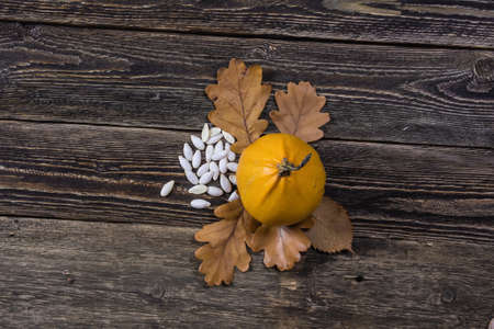 Pumpkin and pumpkin seed. Dark wooden background. Top view.の写真素材