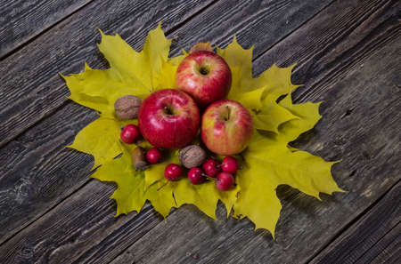 Red apples on autumn leaves. Wooden dark background. Thanksgiving Day. Vintage.の写真素材