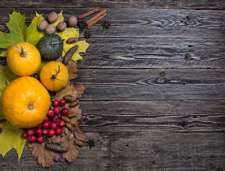 Pumpkins and nuts on the boards. Top view.の写真素材