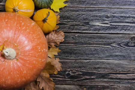 Autumn pumpkins on wooden background. Top view. Border.の写真素材