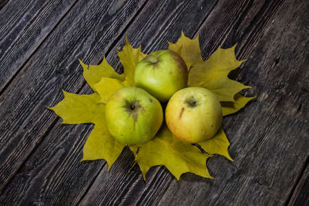 Green apples bely naliv on autumn leaves. Ravelston pippin. Wooden background. Top view.の写真素材