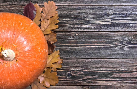 Autumn pumpkin and oak leaves on the wooden background. Top view. Flat lay.の写真素材