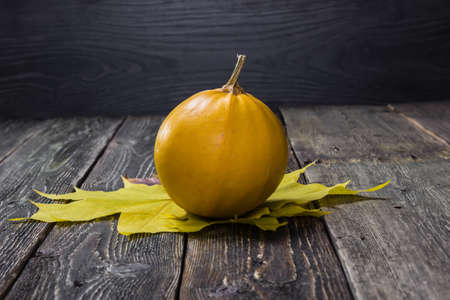 Beautiful pumpkin on dark wooden background. Autumn Festival. Thanksgiving Day. Halloween.の写真素材