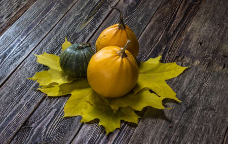 Autumn pumpkins on a maple leaf. Wooden background.の写真素材