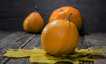 Yellow pumpkins on dark wooden background. Autumn Festival. Thanksgiving Day.の写真素材