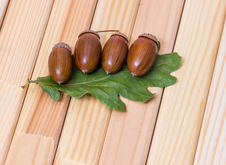 Four acorns with leaves on a wooden background.